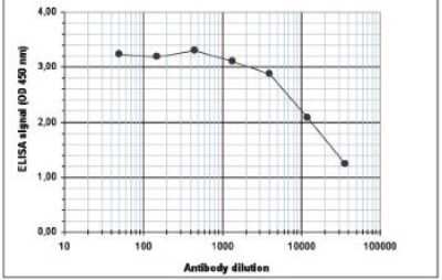 ELISA: Histone H4 [ac Lys13, ac Lys5, ac Lys8] Antibody [NBP2-59253]